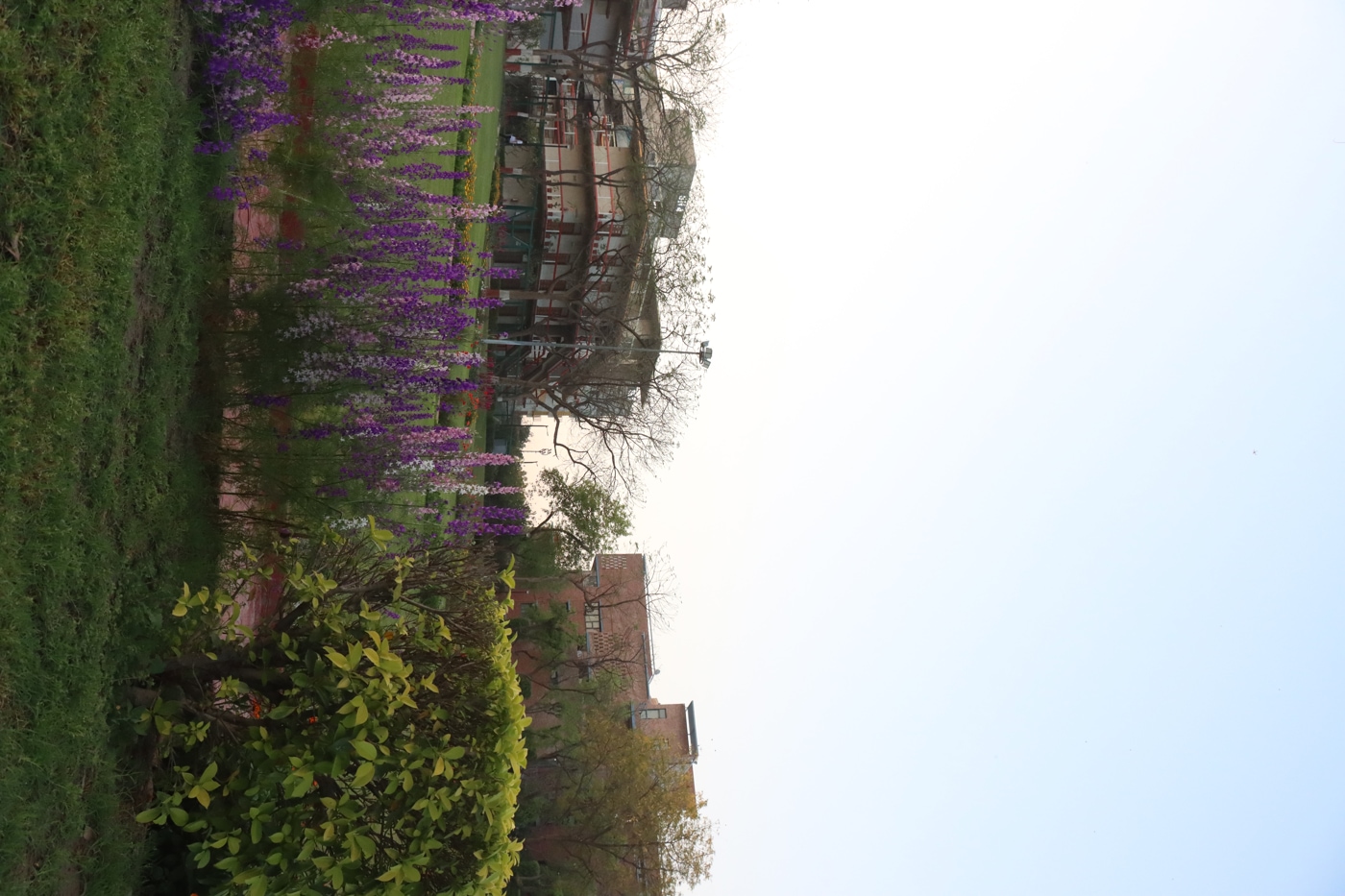 O.P. Jindal Global University Campus photo 176