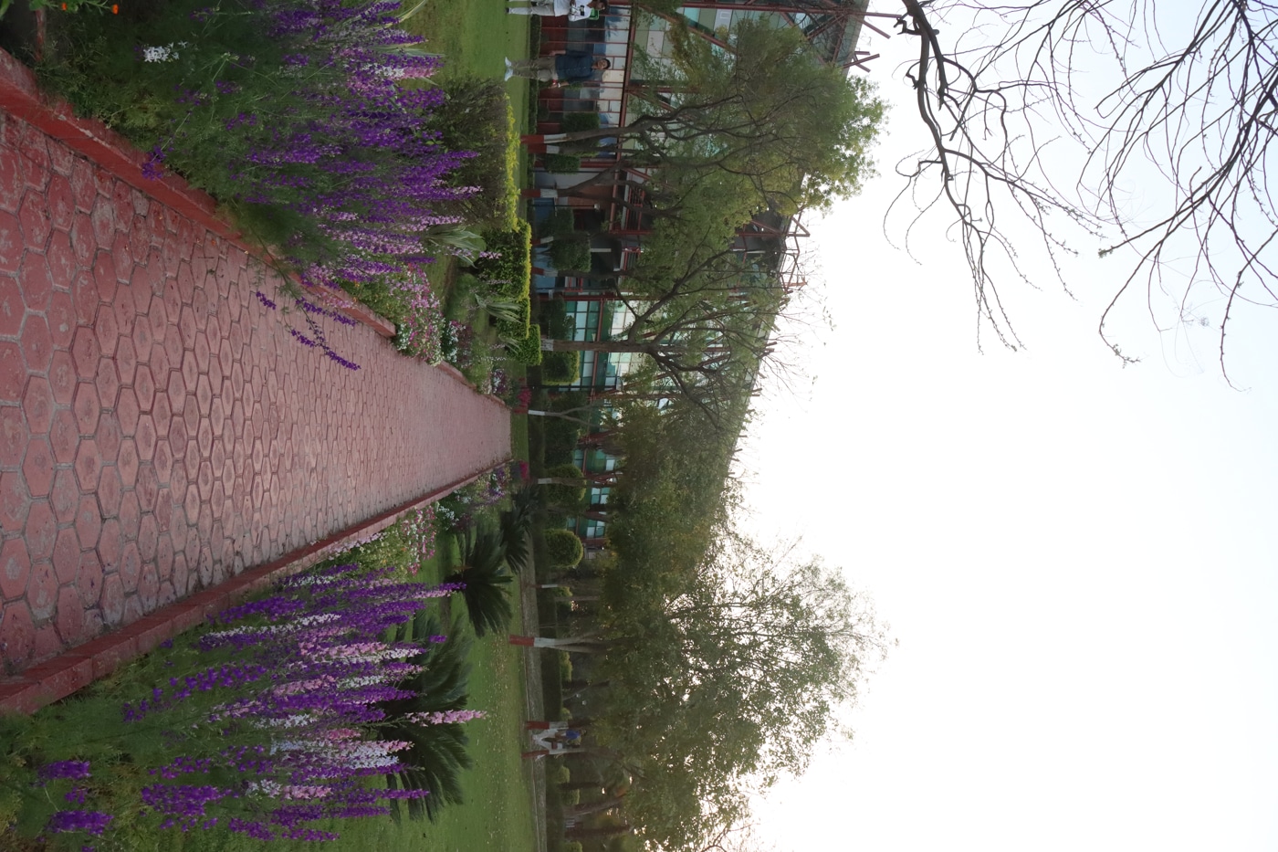 O.P. Jindal Global University Campus photo 177