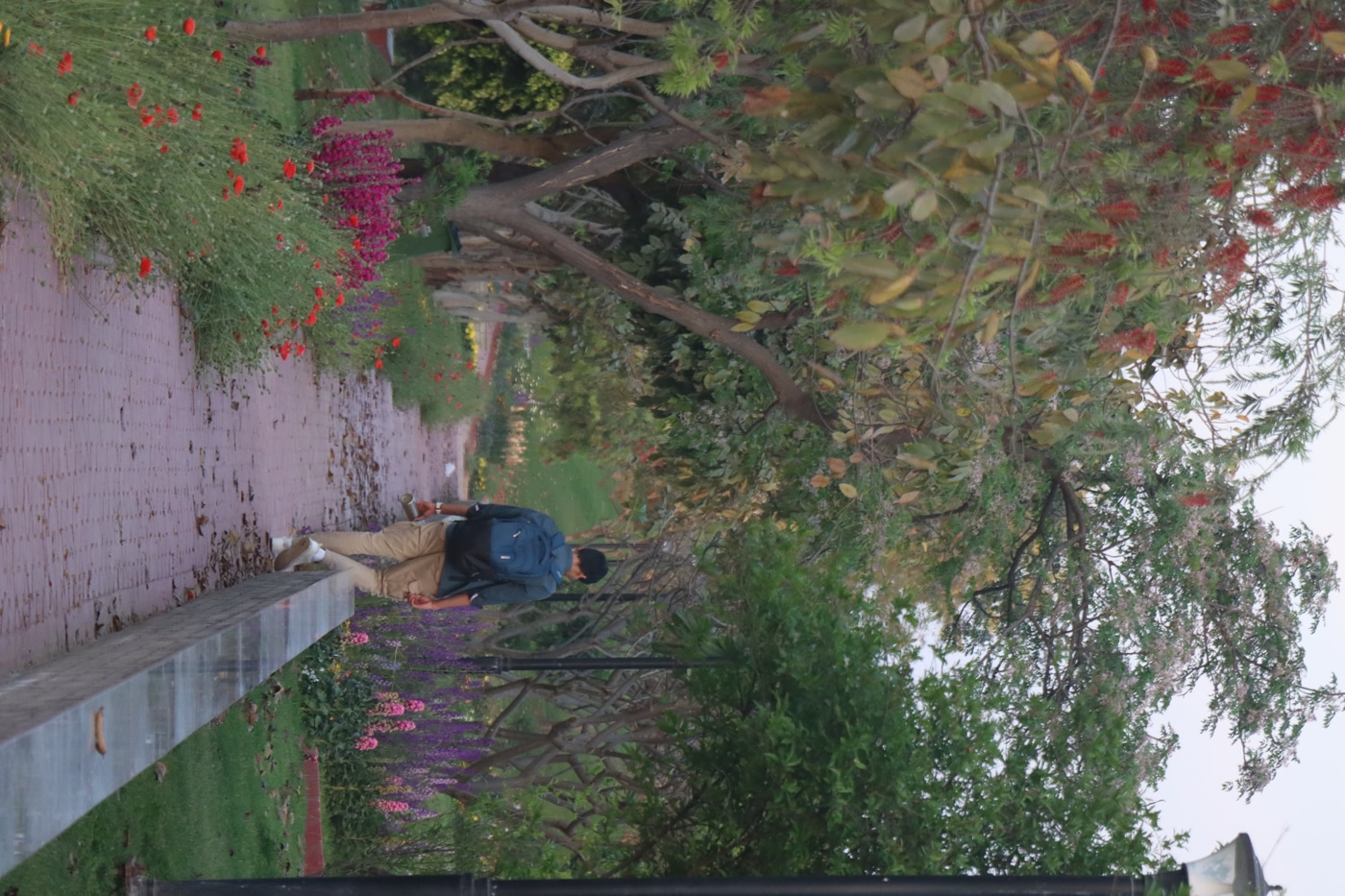 O.P. Jindal Global University Campus photo 184