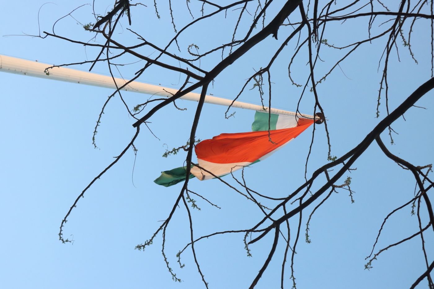 O.P. Jindal Global University Campus photo 186