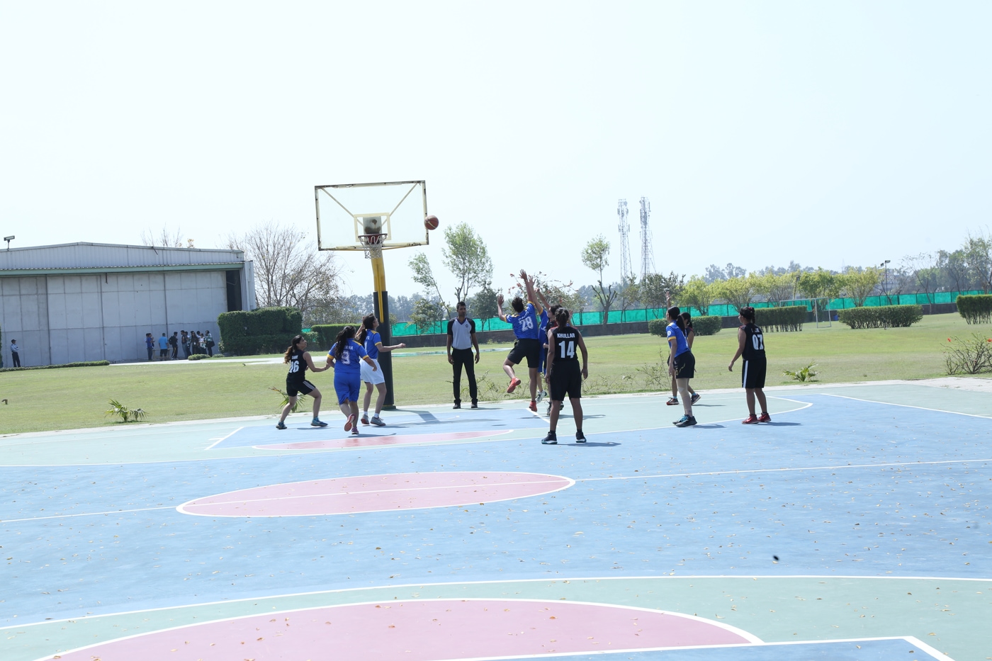 O.P. Jindal Global University Magnus photo 176