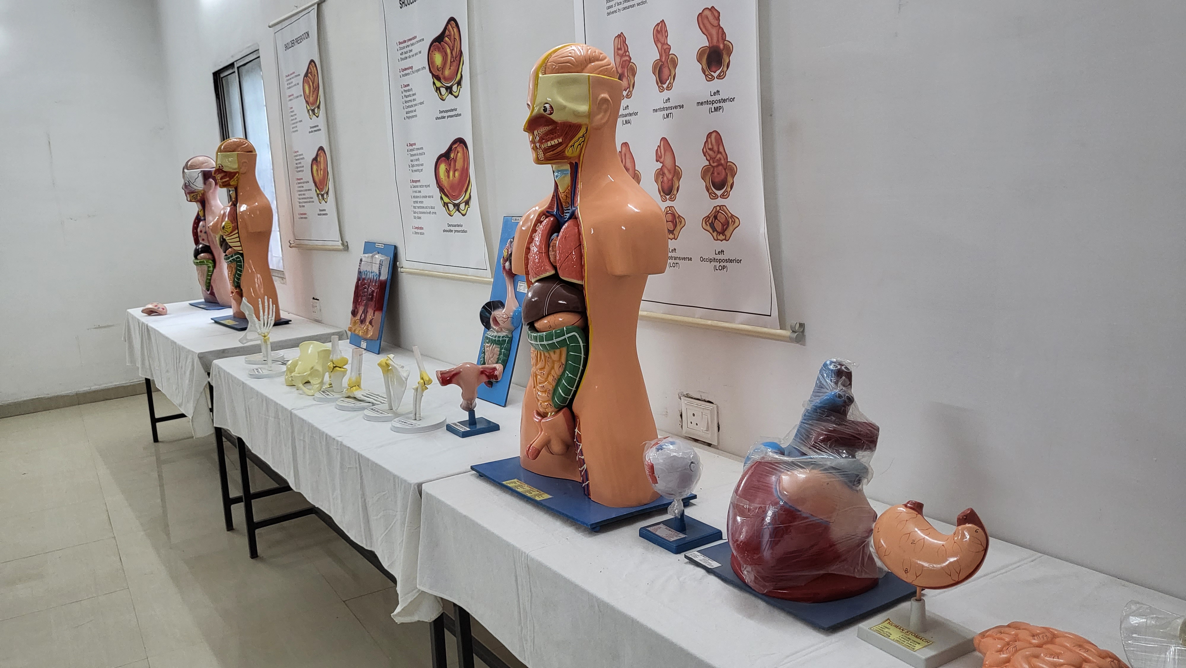 AHS Nursing College & Hospital Samastipur Extra Curriculars photo 1