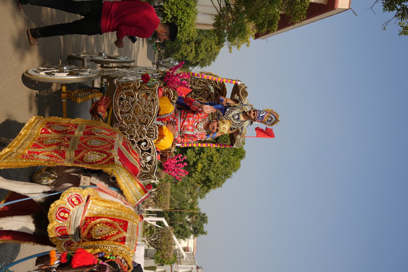 Swami Devi Dyal Group of Professional Institutions Panchkula Cultural Rally photo 6
