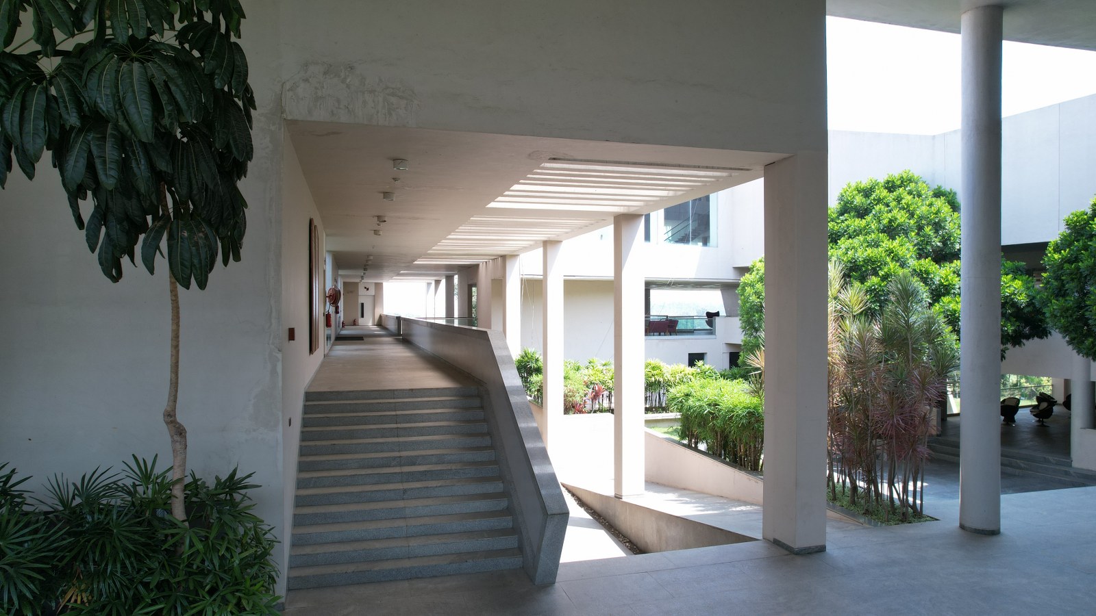 MYRA School of Business Mysore Drone MSB Photos photo 38