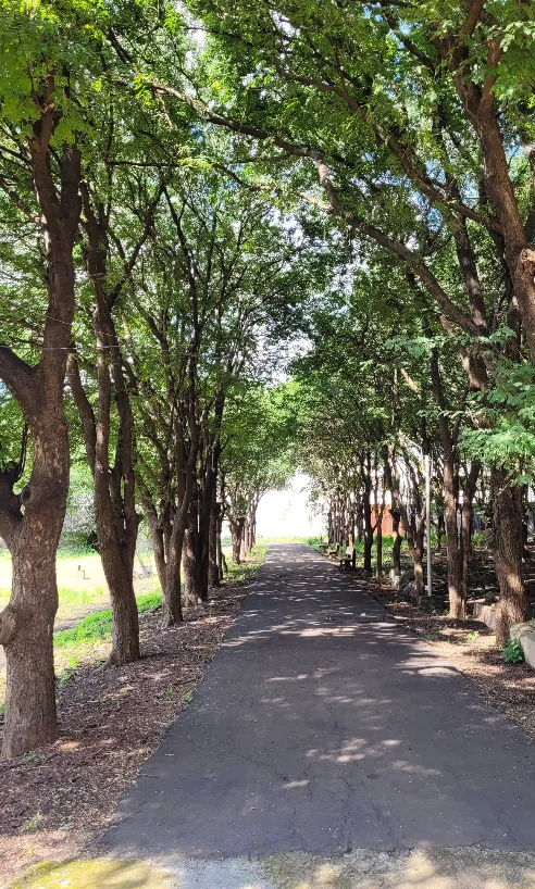 WCE Sangli Campus photo 13