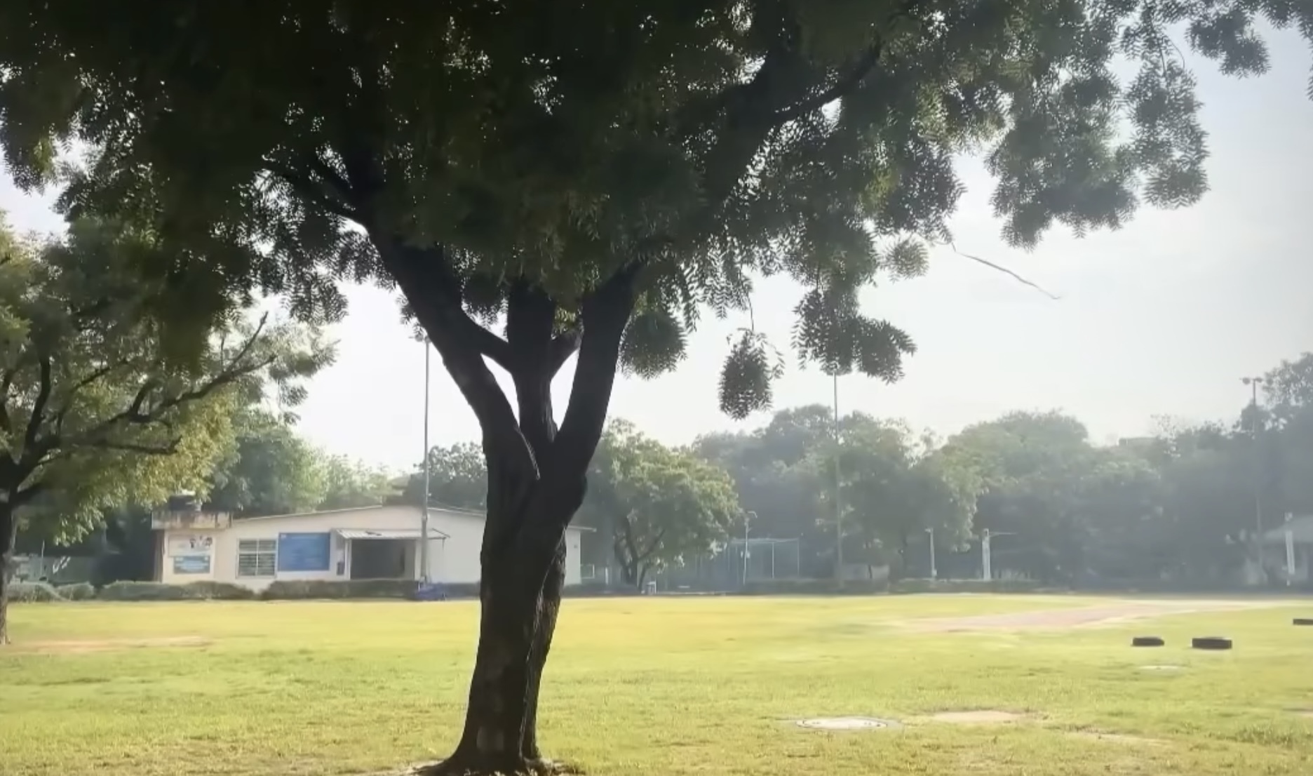 Ramanujan College Sports and Ground photo 2