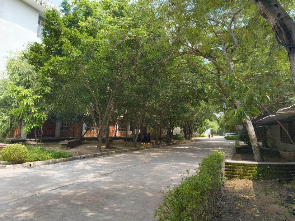 ITM SLS Baroda University, Vadodara College campus photo 38
