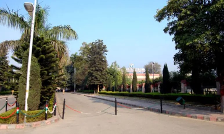CCSU Campus photo 4