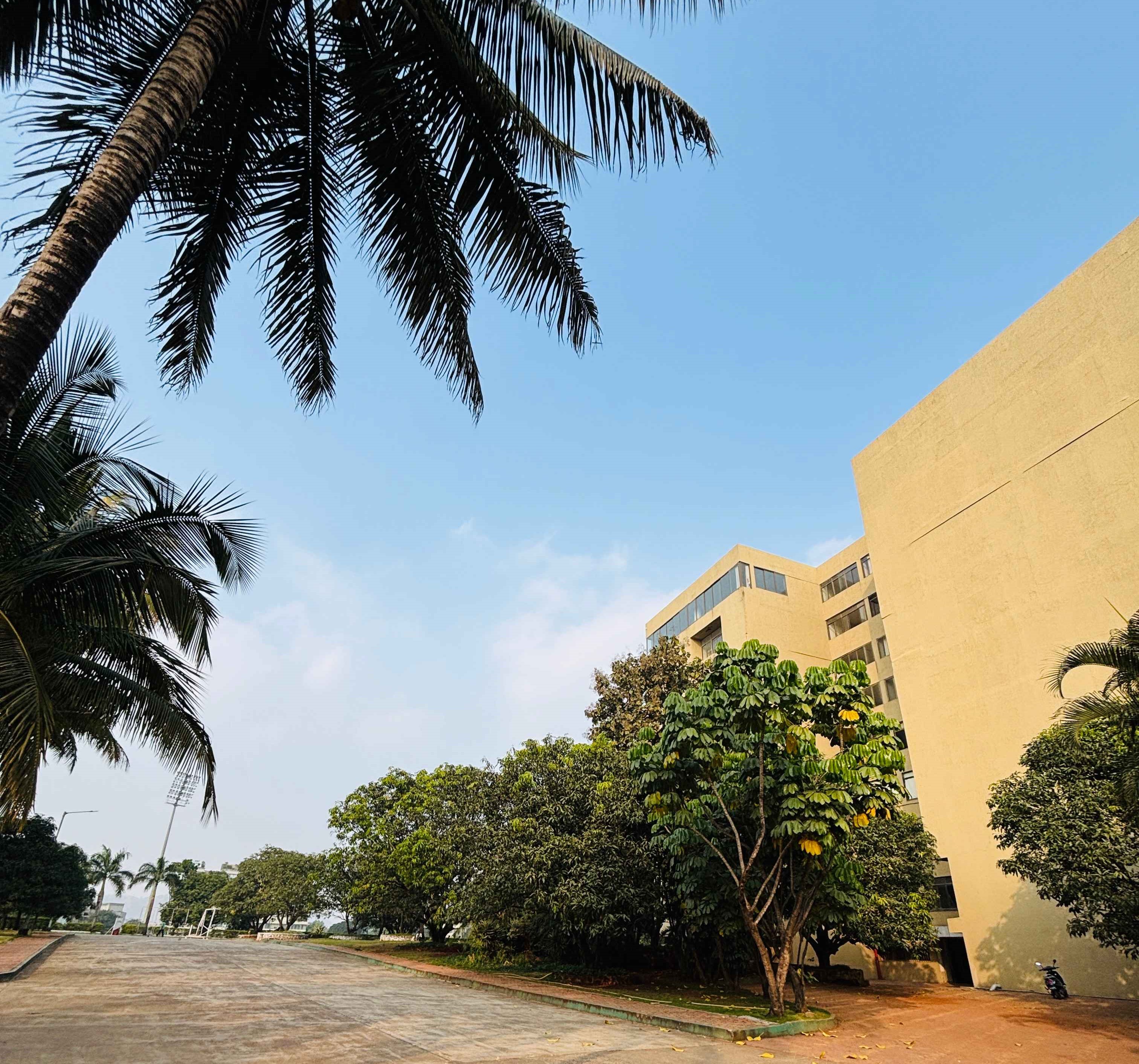 DY Patil University Pune Campus photo 30