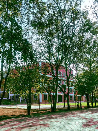 Rai University Ahmedabad Campus View photo 2