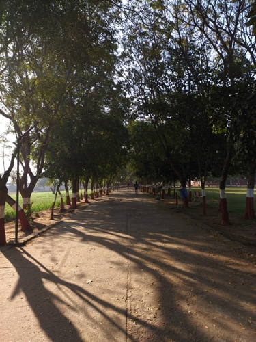 Rai University Ahmedabad Campus View photo 24