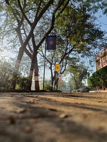 Rai University Ahmedabad Campus View photo 23