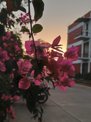 Rai University Ahmedabad Campus View photo 21