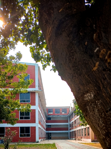 Rai University Ahmedabad Campus View photo 18