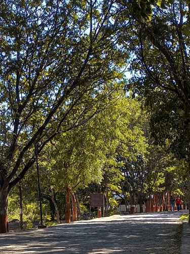 Rai University Ahmedabad Campus View photo 17