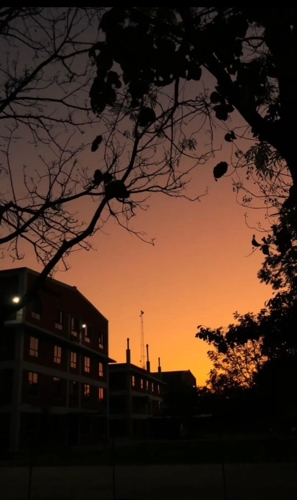 Rai University Ahmedabad Campus View photo 41