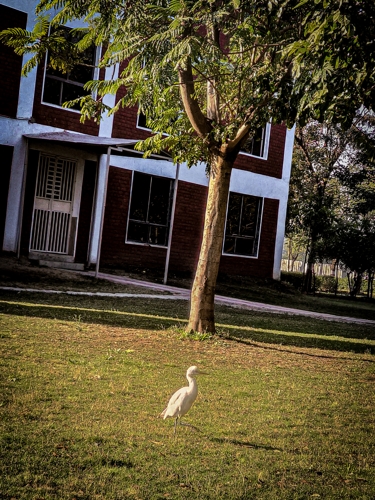 Rai University Ahmedabad Campus View photo 38