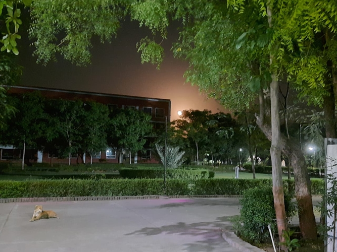 Rai University Ahmedabad Campus View photo 29