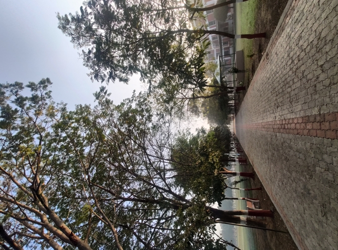 Rai University Ahmedabad Campus View photo 49