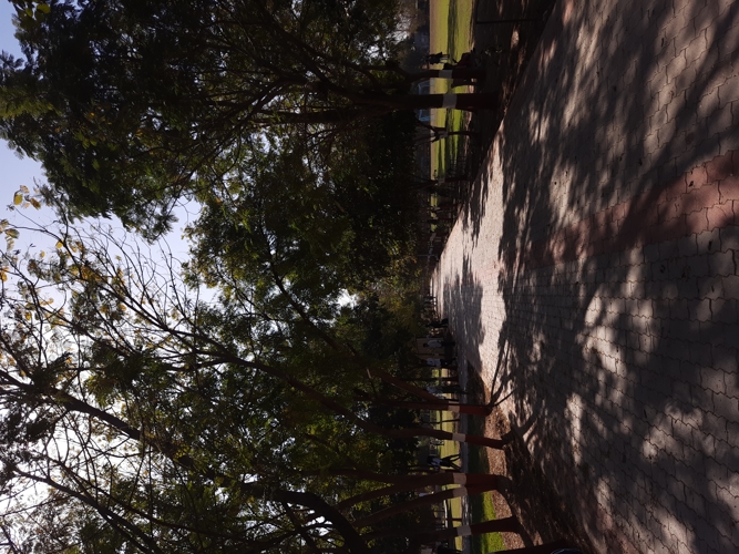 Rai University Ahmedabad Campus View photo 52