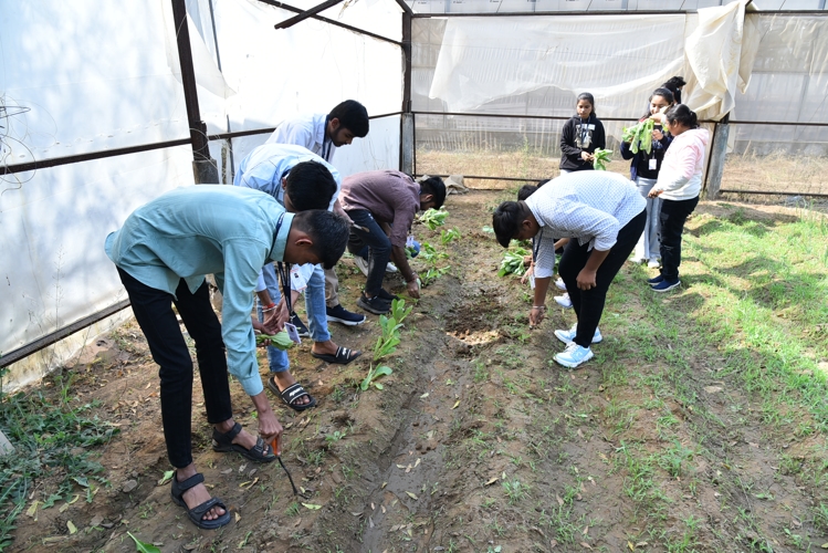 Rai University Ahmedabad Students@ RU photo 32