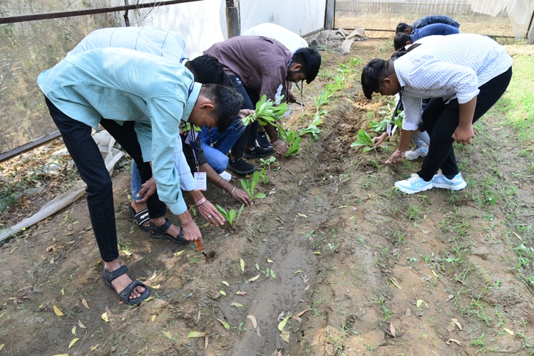 Rai University Ahmedabad Students@ RU photo 30