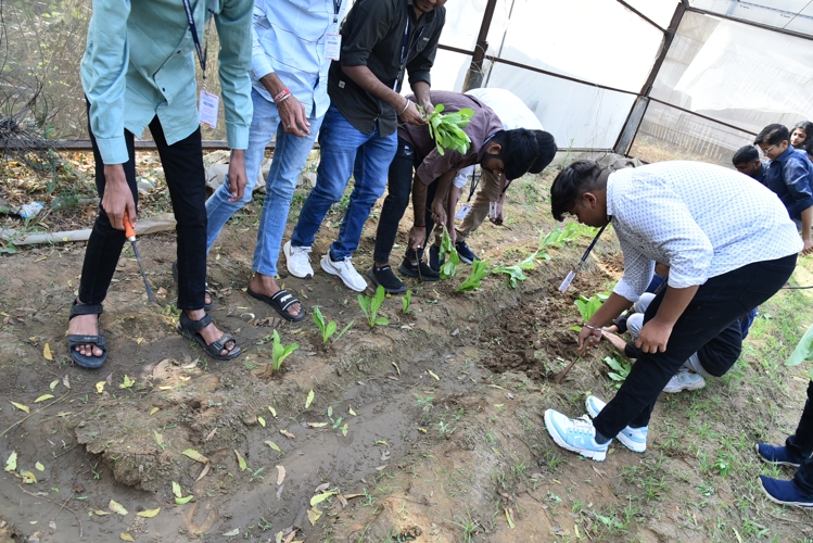 Rai University Ahmedabad Students@ RU photo 29