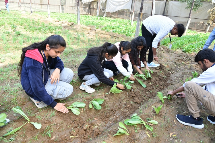 Rai University Ahmedabad Students@ RU photo 28