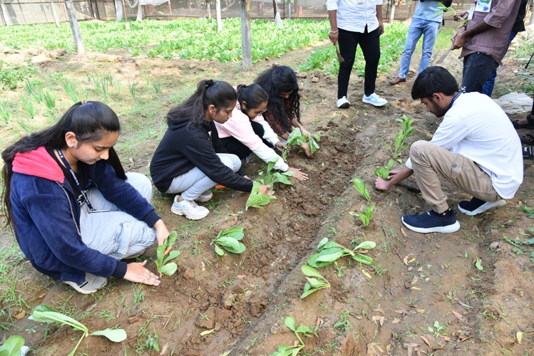 Rai University Ahmedabad Students@ RU photo 27
