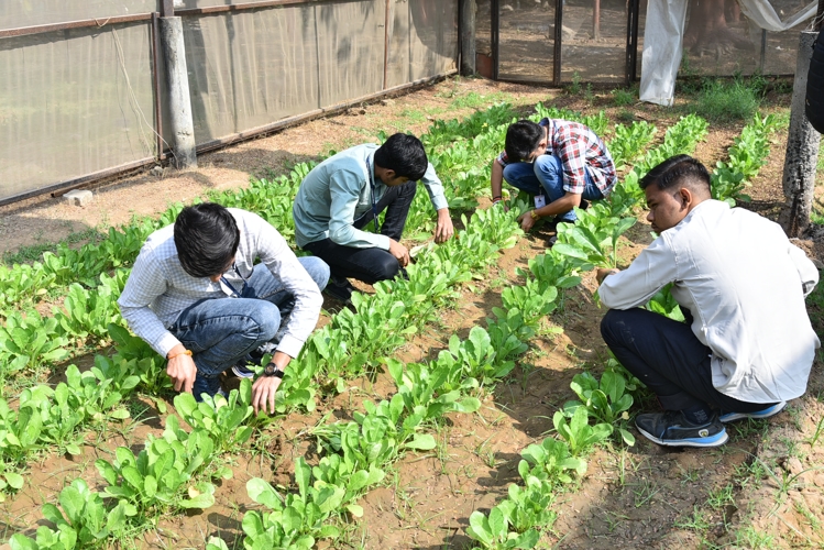 Rai University Ahmedabad Students@ RU photo 36