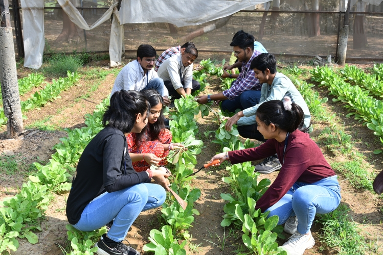 Rai University Ahmedabad Students@ RU photo 35