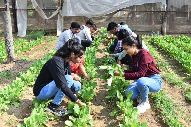 Rai University Ahmedabad Students@ RU photo 34