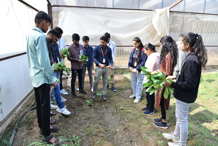 Rai University Ahmedabad Students@ RU photo 33