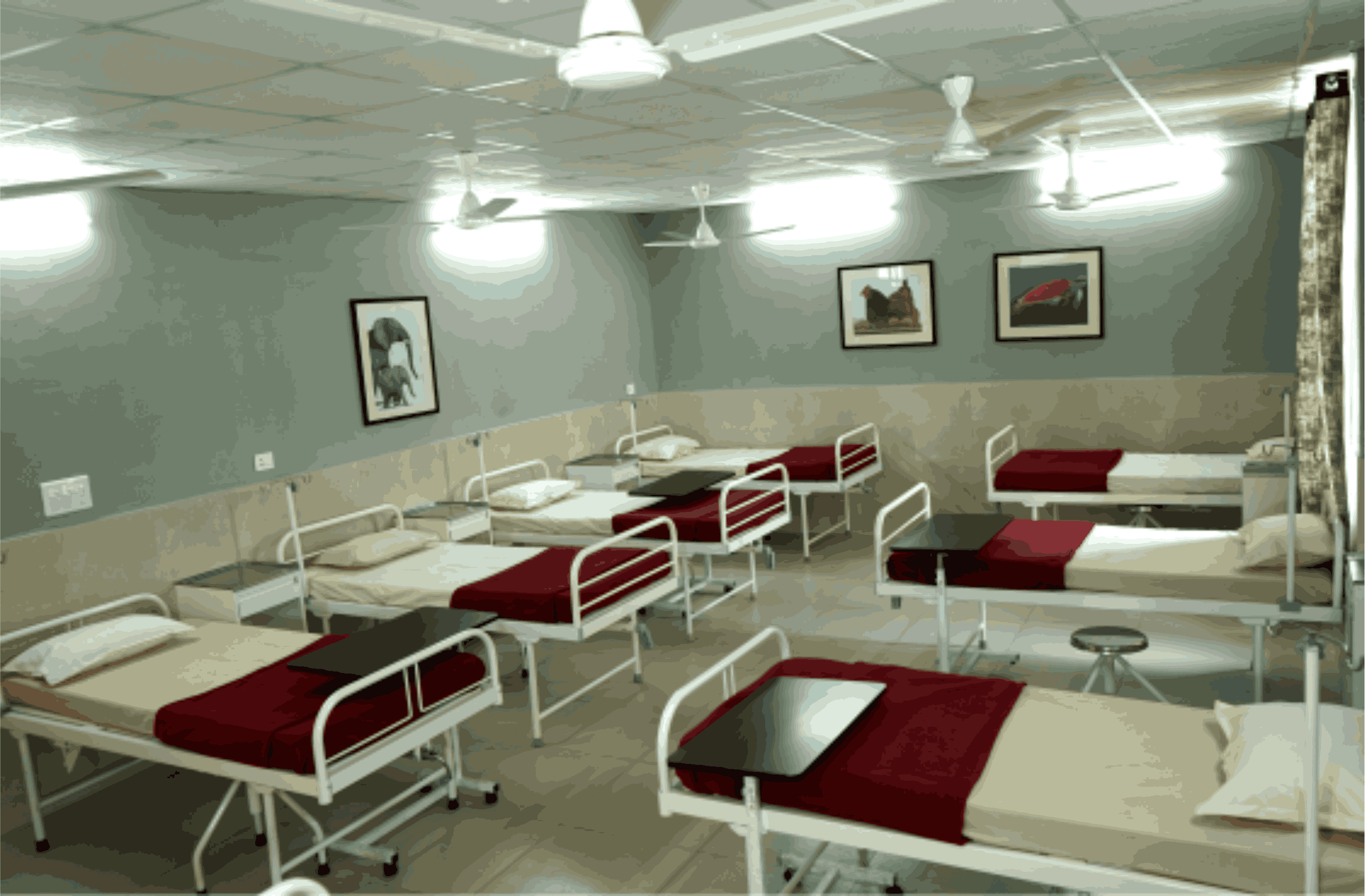 ITM SLS Baroda University, Vadodara Hospitals photo 3