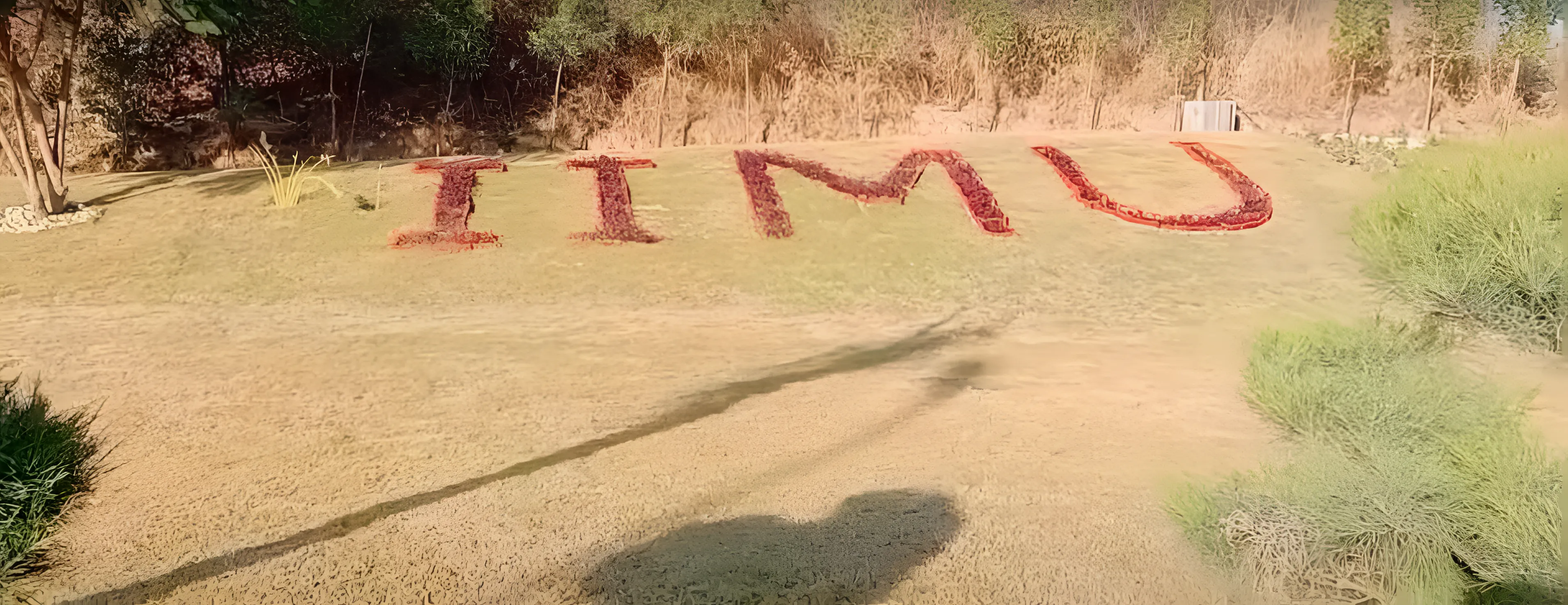 IIM Udaipur Campus photo 16