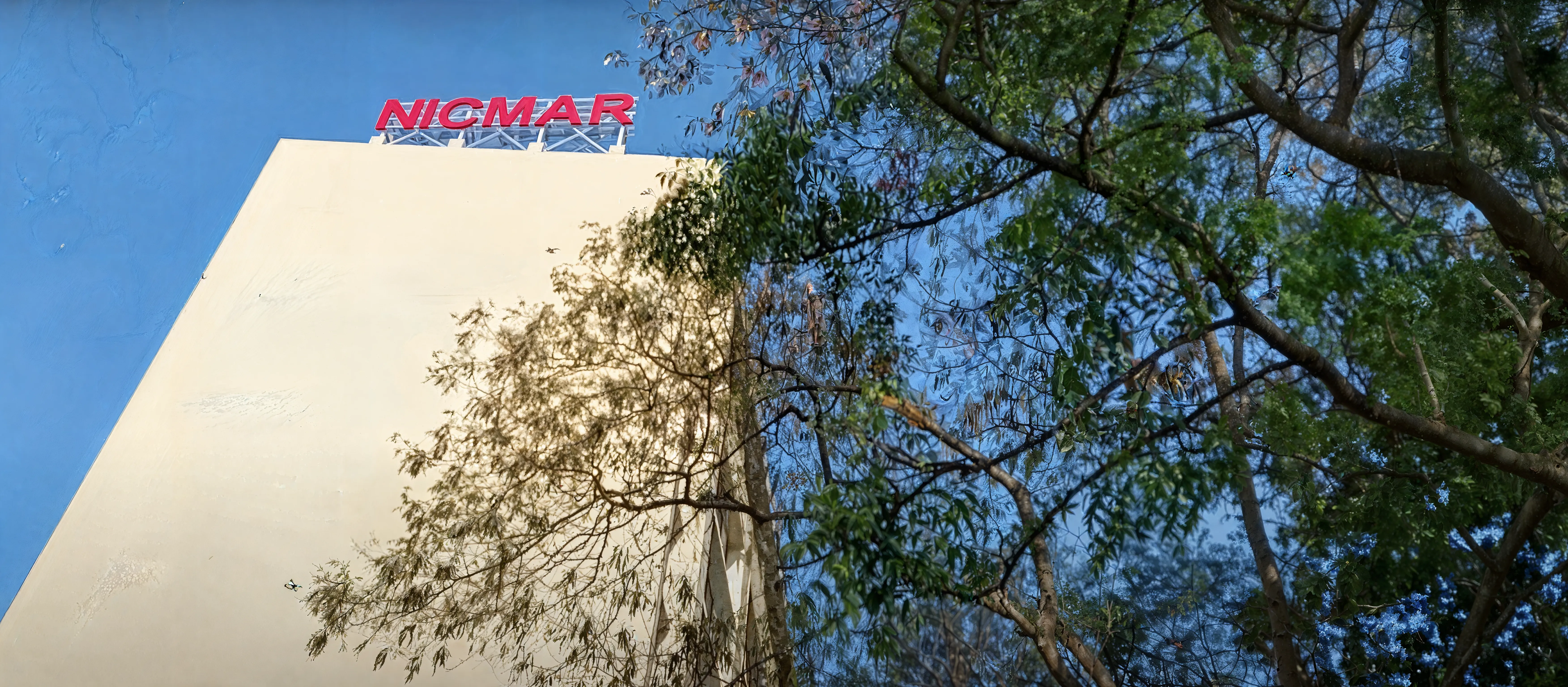 NICMAR Pune Campus photo 1