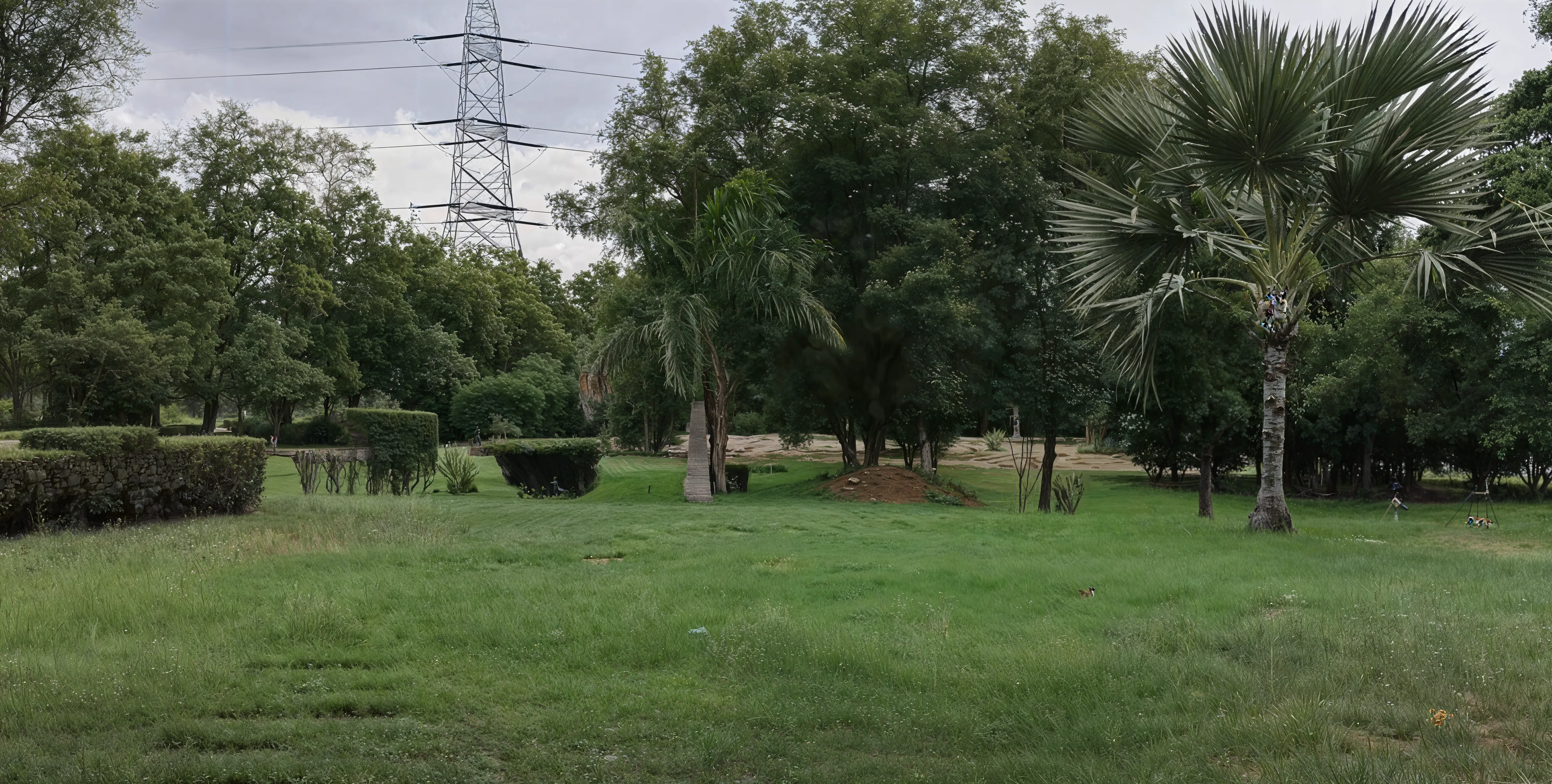 SOIL Institute of Management Campus photo 9