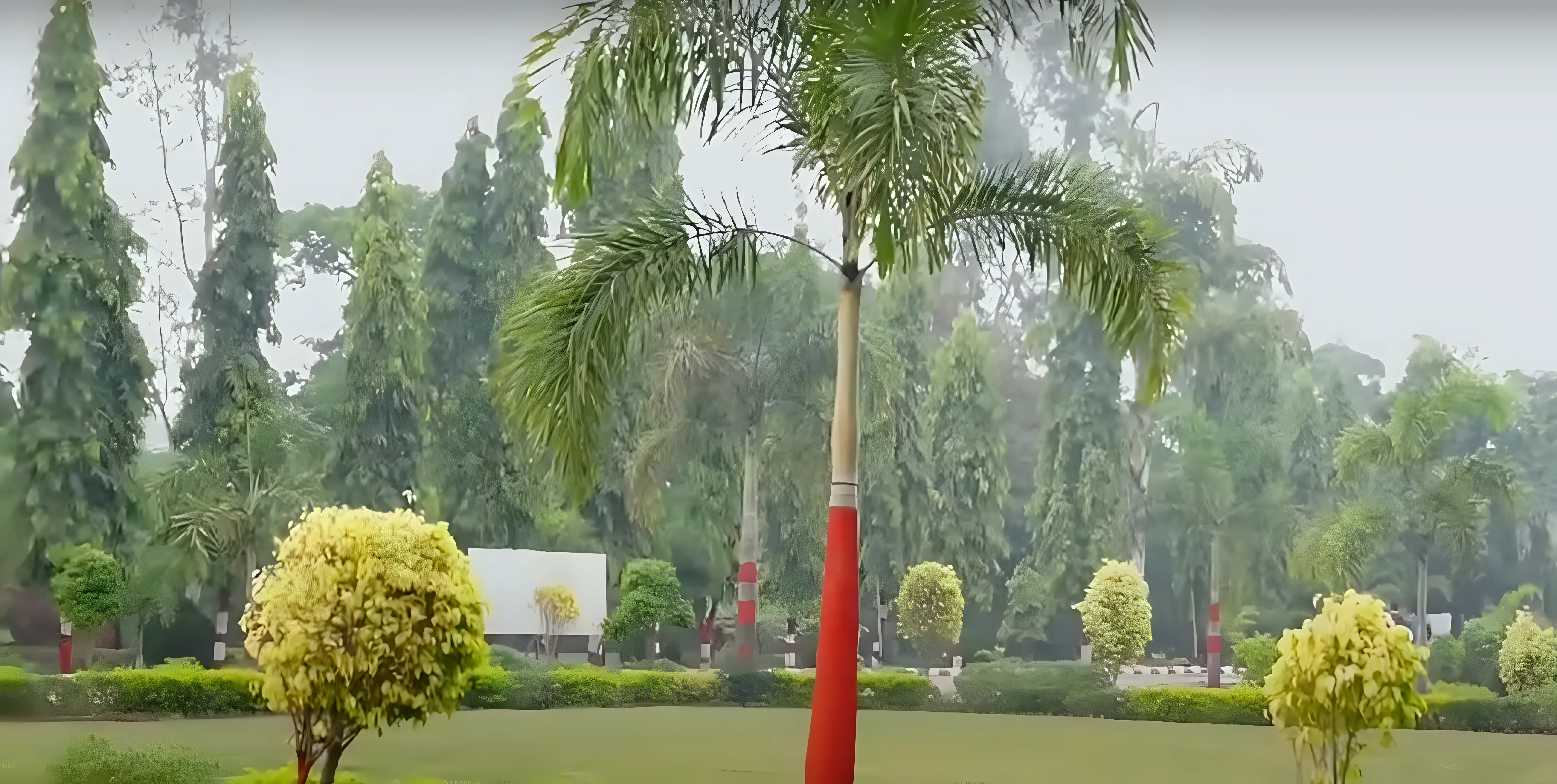 VITS Satna Campus photo 1