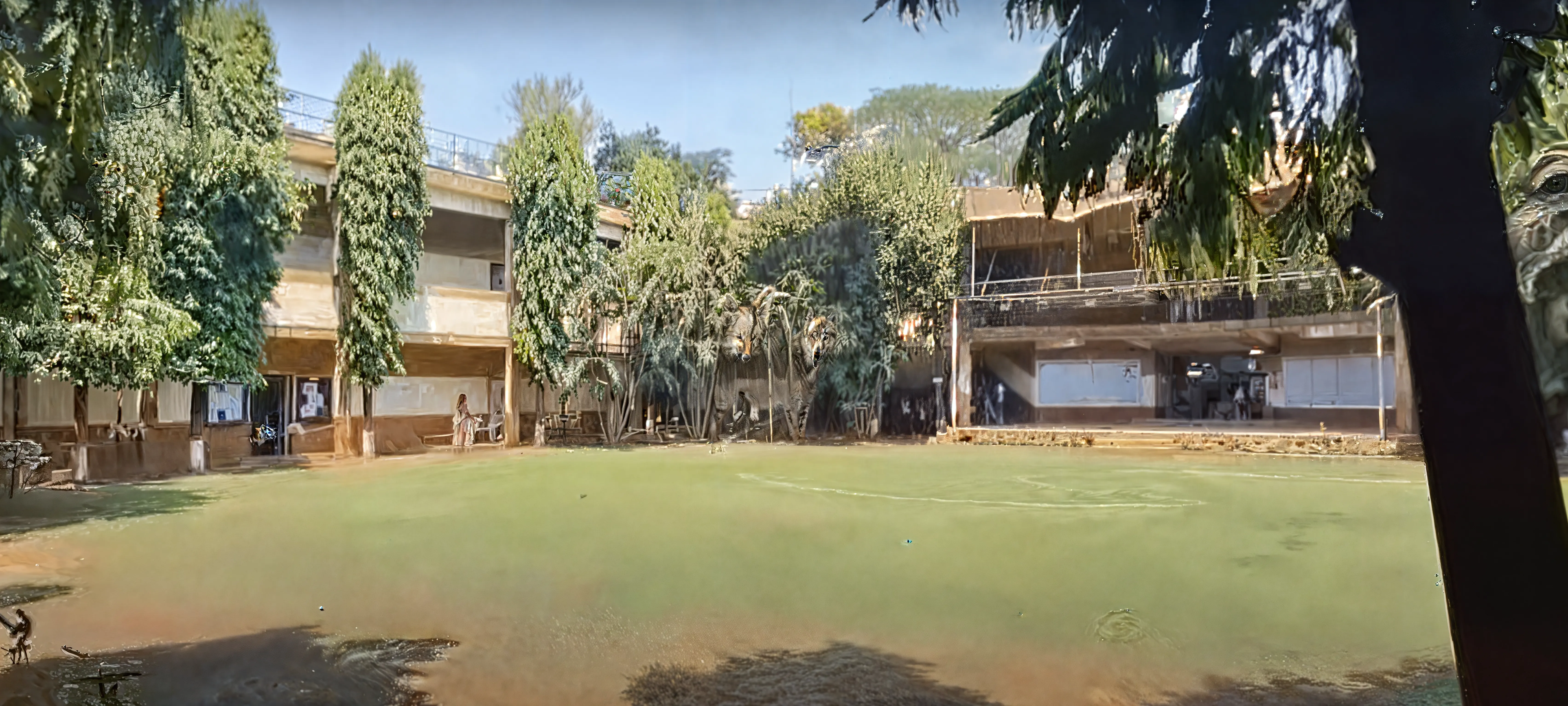 B. K. Birla College of Arts, Science and Commerce, Kalyan Campus photo 1