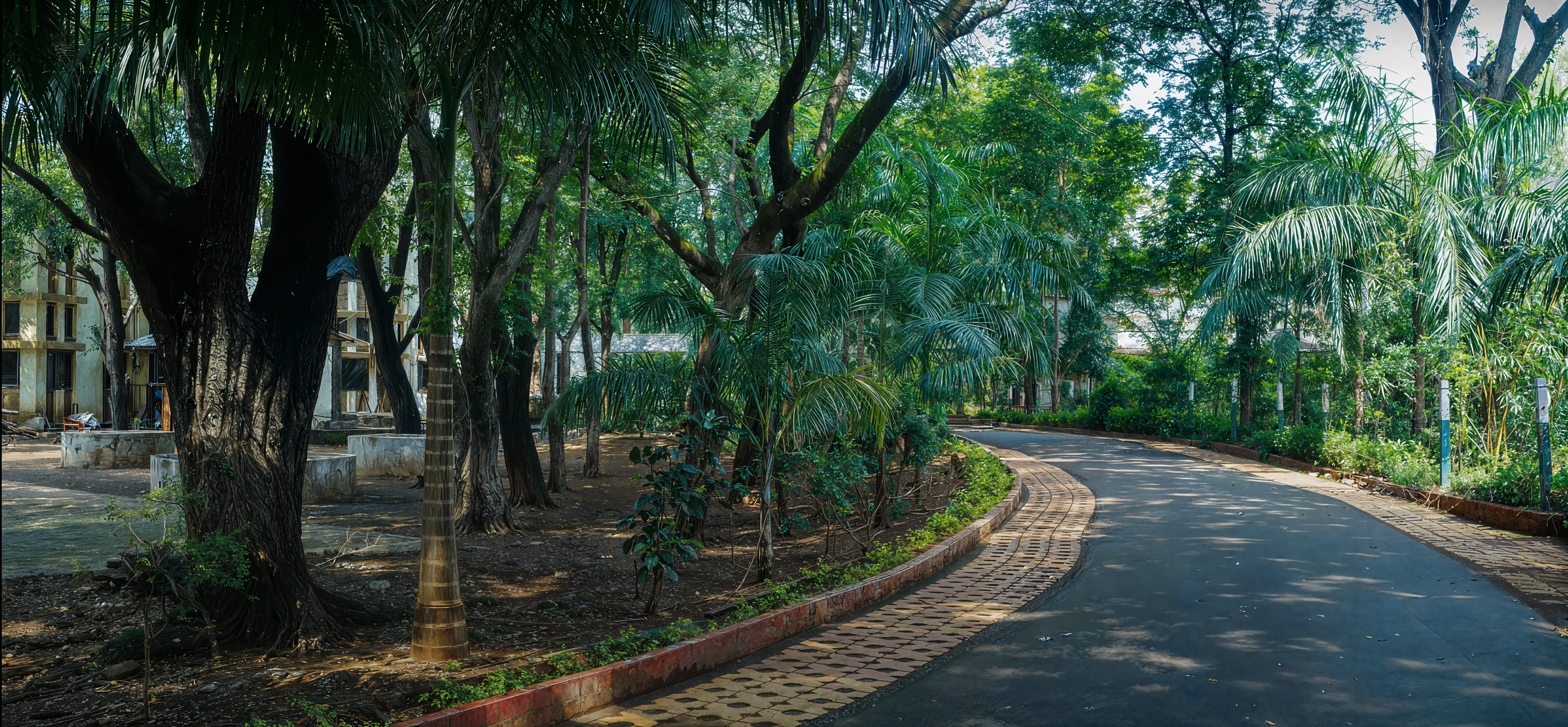 B. K. Birla College of Arts, Science and Commerce, Kalyan Campus photo 4