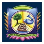 Virudhunagar Hindu Nadar's Senthikumara Nadar College - [VHNSNC] logo