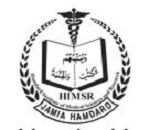 Hamdard Institute of Medical Sciences and Research - [HIMSR] logo