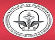 B.Sc (Nursing)