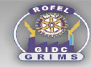 GIDC Rajju Shroff Rofel Institute of Management Studies logo