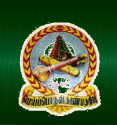 Rajah Serfoji Government Arts College, Azhagammal Nagar - [RSGC] logo