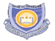 Shekhawati Institute of Technology