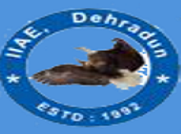 Indian Institute of Aeronautical Engineering - [IIAE] logo