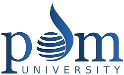 PDM University, Bahadurgarh logo