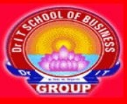 Dr IT School of Business