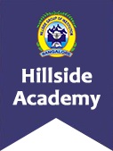 Hillside Academy